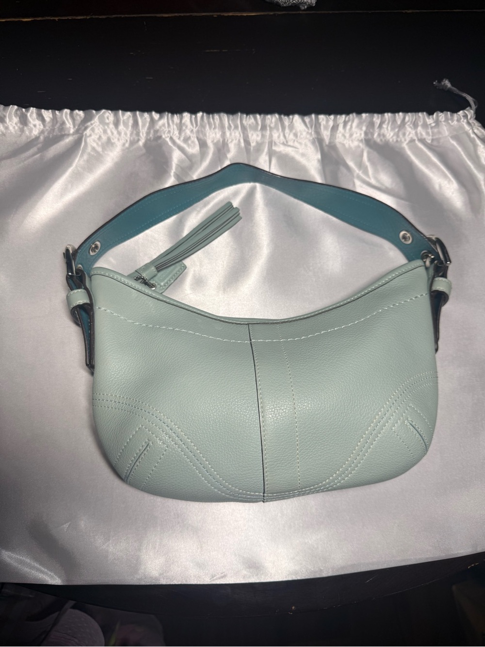 Mint Leather Shoulder Bag with Tassel Accent